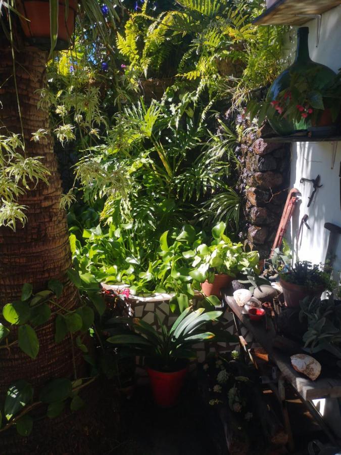 Villa Sila El Paso Bagian luar foto