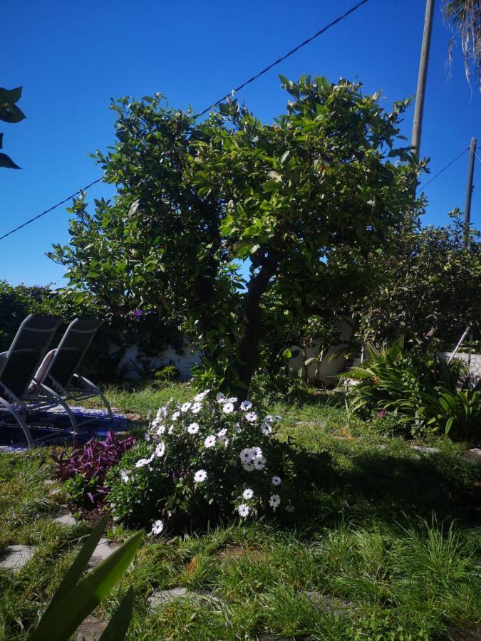 Villa Sila El Paso Bagian luar foto