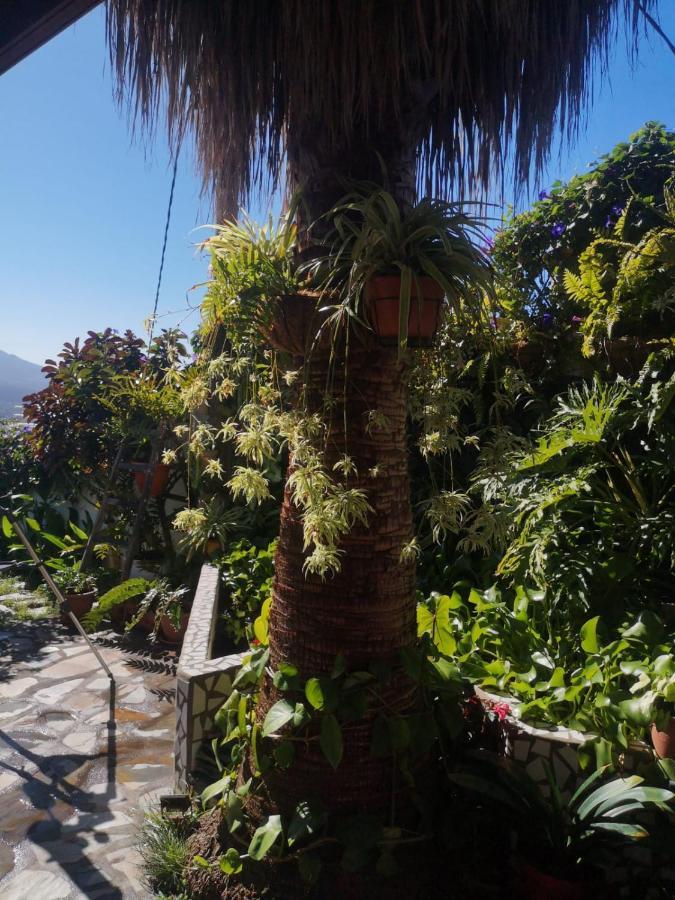 Villa Sila El Paso Bagian luar foto